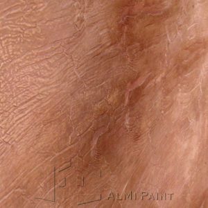 58Efekat-slonove-koze