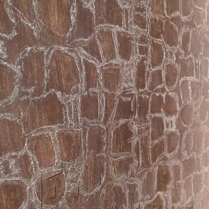 59Efekat-krokodilove-koze