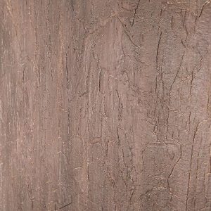 60Efekat-kora-drveta