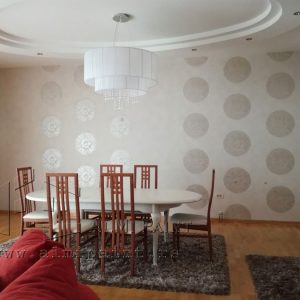 Dekorativne boje i materijali, AlmiPaint, privatni stanovi