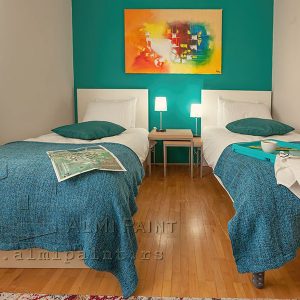 Dekorativne tehnike - AlmiPaint