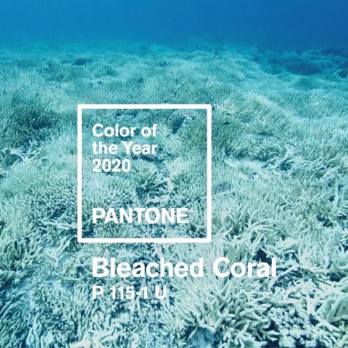 dekorativne boje za 2020. godinu dekorativne boje za 2020. godinu