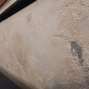 Dekorativni elekti bojenja-3